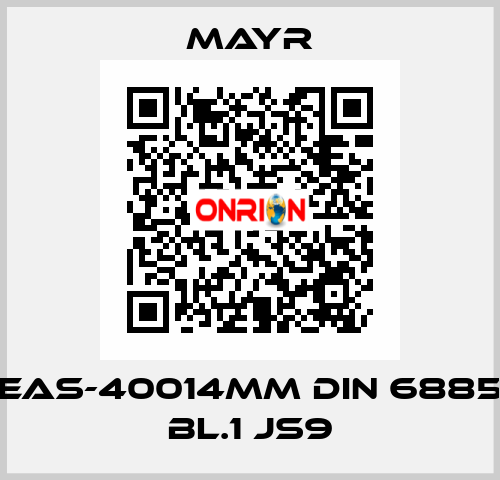 EAS-40014MM DIN 6885 BL.1 JS9 Mayr