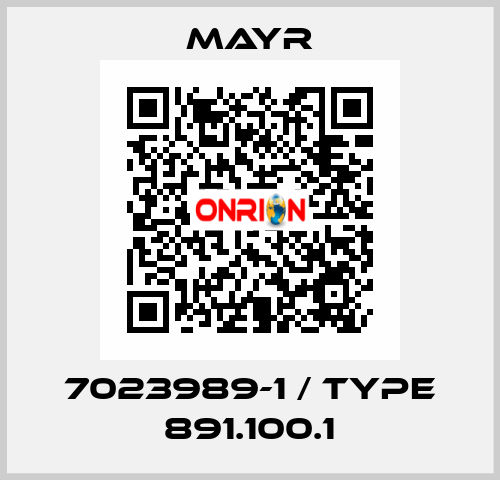 7023989-1 / Type 891.100.1 Mayr
