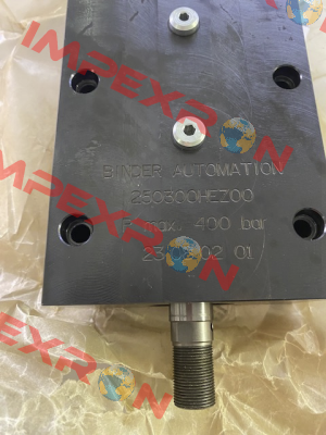 250300-BAZ00 Binder